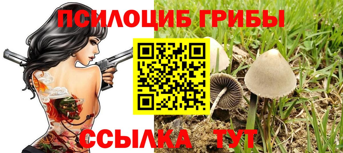 Галлюциногенные грибы Cubensis  Вход с VPN  Кизляр  цены   Галлюциногенные грибы Magic Shrooms 