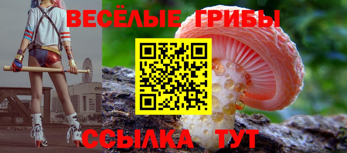 Галлюциногенные грибы Cubensis Кизляр